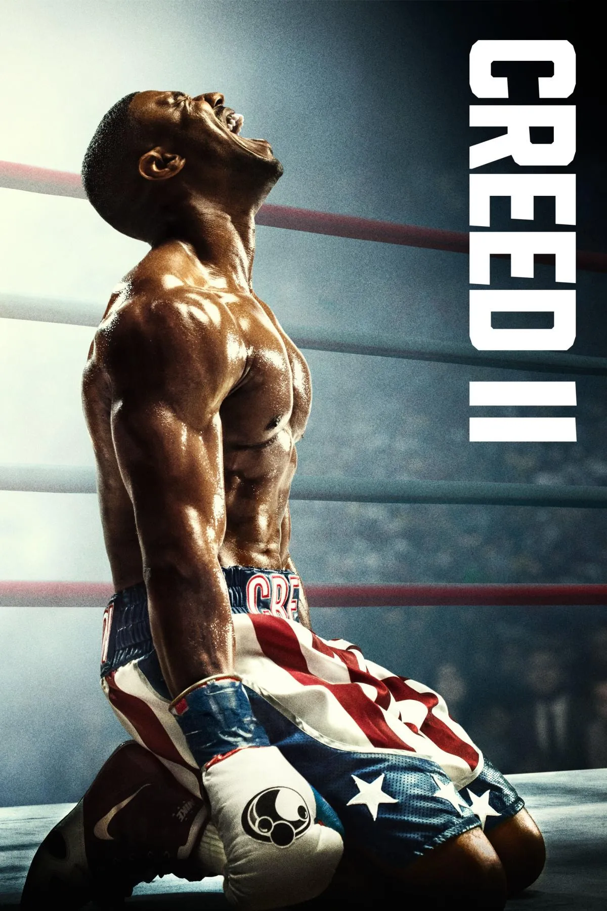 Creed II: Defendiendo el legado 2018 HD 1080p [Latino-Ingles] descargar