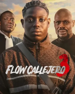 Flow callejero 3 (2016) [1080p] [Latino-Castellano-Ingles]
