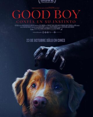 Good Boy: Confía en su instinto (2025) [1080p] [Latino-Castellano-Ingles]